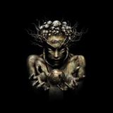 Acid Rain with dj XL on 2016-02-08 on Report2Dancefloor Radio
