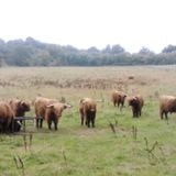 Ar an Imeall, 23ú Eanair/ January 2016: Achoimre do cheol nua; roundup/ catchup of new(ish) music