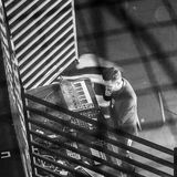 The Hacker @ IBoat (2015.06.25 - Bordeaux, France)
