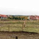 Zrównoważona polityka miejska. Seminarium Łukasza Pancewicza
