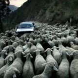 In The Vortex - From Frankfurt to Aalst