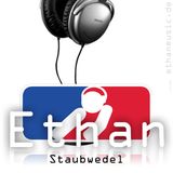 Staubwedel