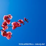 Peter Withoutfield - Sunday Joint