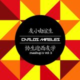 C-Mireles / The Mashups Vol.3 / 2014