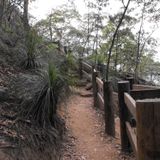 Perila trip 7