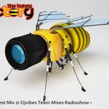 I Love Techno by THF Juny 2013 Guest Mix for djvibes radio