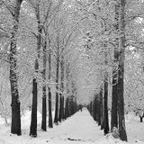 Kharma - January 2011 mix