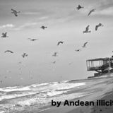 Late September Podcast by Andean illicit