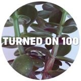 Turned On 100: Soul Clap, Auntie Flo, Death On The Balcony, Spirit Catcher, Simbad (100% EXCLUSIVE)