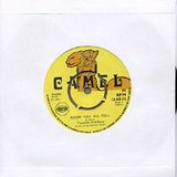 Reggae News guest selection on Roots Garden Totallyradio Show 1 (July 2006)