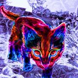 follow me in A xtc