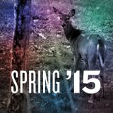 Spring '15 Beats