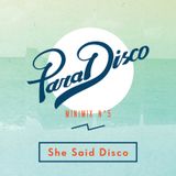 Minimix V: She Said Disco