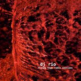 DJ Rio Flying High Radio Sessions Mix #516