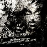 Herr Bert - DYNAMIXX TECHNO #24 - 17.05.2014