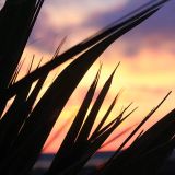 2Mind1Soul - SpringMood_miniset_Easter2016