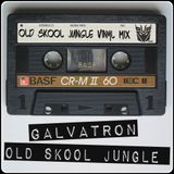 Galvatron - Old Skool Jungle Vinyl Mix (Recorded around 1999 to 2000)