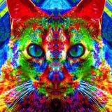 Just meditation on Unity with the Universe and Deactivate Your Collection of Filters