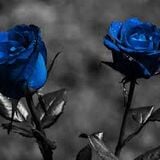 NAS-BLUE ROSE (STAMATELLA RMX)