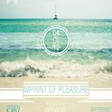 Deejay RT@Chill Out Session Mix 04.01.2014 - Imprint Of Pleasure
