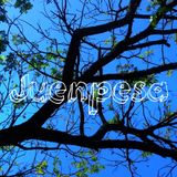 Summer Chill Out Nu Disco (Juenpensa Compilation)