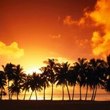 Where is the Beach