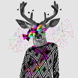 THE HOUSE OF THE DEER - JABU_