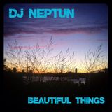 Dj Neptun - Beautiful Things