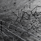 geometry