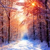 Burning Snowflakes Mix (Chillstep)