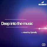 Spinafly - Deep Into The Music 03