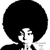 The Soul Of Funk 2 (dj ienz)