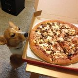HAPPY HALF THE TIME #12 - NOV 2015 - SONGS ABOUT PIZZA