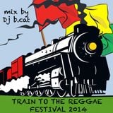 DJ B.CAT-Train to the Reggae Festival 2014