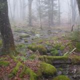 °Autumn~Meditation°