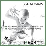 Alex Kostic - What You Want ( original mix )