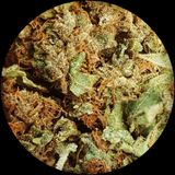 Four Twenty Too - The Earth Day Special (422 - The Day After The Day After)