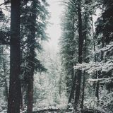 winter'13