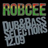 Dub & Bass Selections 12.09