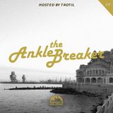 AnkleBreaker 28.04.2015 - RadioControl