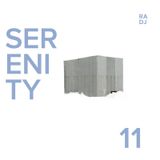 RADJ - SERENITY MIX 011 (2016) FULLMOON EDITION