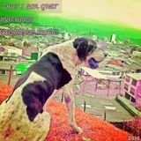 That_I_Can_Get_by_MathiasdLeo_ElectronicMusic_2016