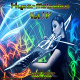 Dj Hedgehog-Hepermelodic vol.4