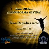 De piedra a carne