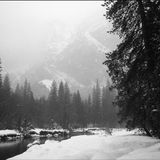 Winter Demo 2010