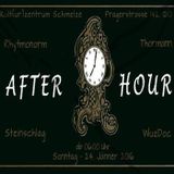 Afterhour Kulturschmelze Wien