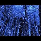 Roots & Fusion no.305, 24/12/14, from Walter Trout to Susan Werner via The Rowan Amber Mill
