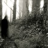 10.31.13 - THE PRICKING OF MY THUMBS