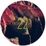 22