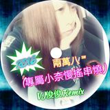2016VJ俊俊 - 兩萬八(專屬小奈慢搖串燒)Remix